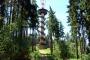 Drahoušek u Osečan Observation Tower