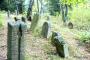 Židovský hřbitov - Krásná Lípa