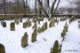 Židovský hřbitov Černovice u Tábora