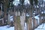 Nový židovský hřbitov Hostouň