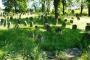 Židovský hřbitov Libochovice