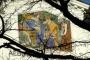 Freska na psychiatrické lečebně Bohnice