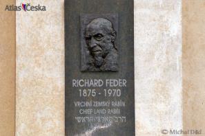 Feder Richard