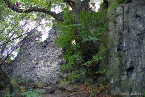 Ostrý Castle Ruins