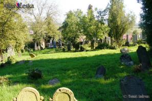 Židovský hřbitov Loštice