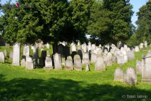 Židovský hřbitov - Osoblaha