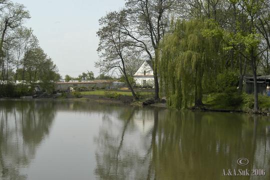 Ctěnický rybník
