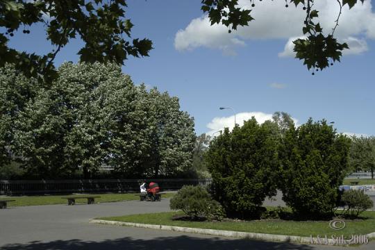 Park na nábřeží Ludvíka Svobody