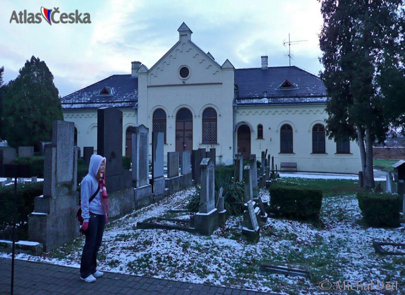 Brno Jewish Cemetery