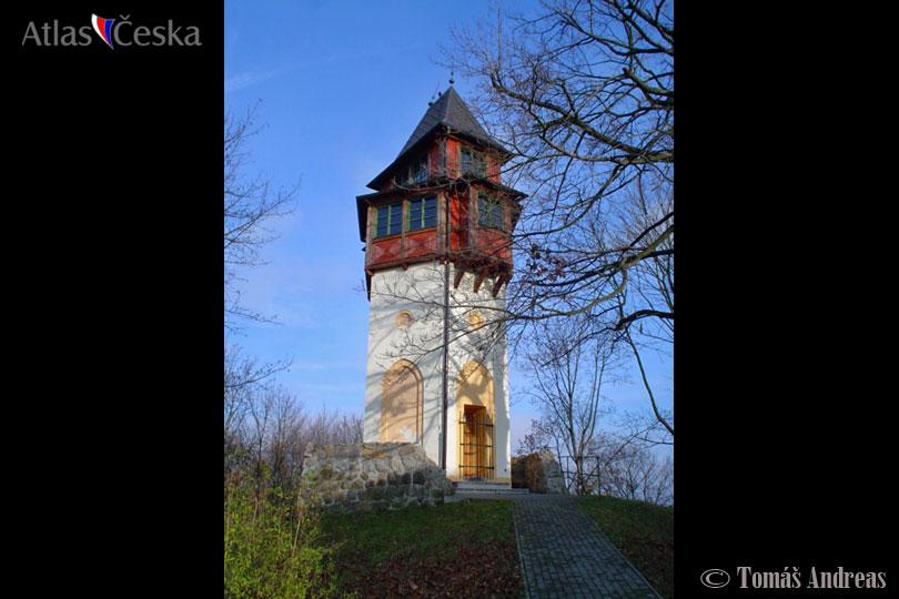 Hard Observation Tower in Sokolov