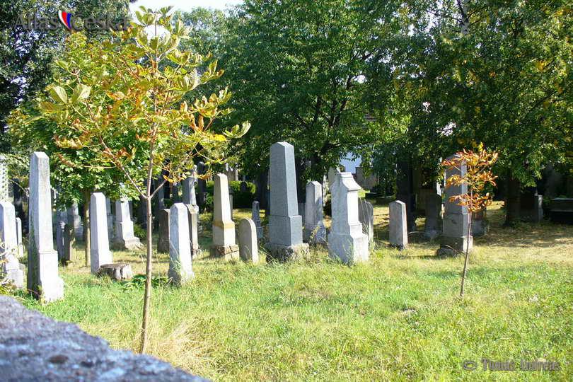 Židovský hřbitov Malešov