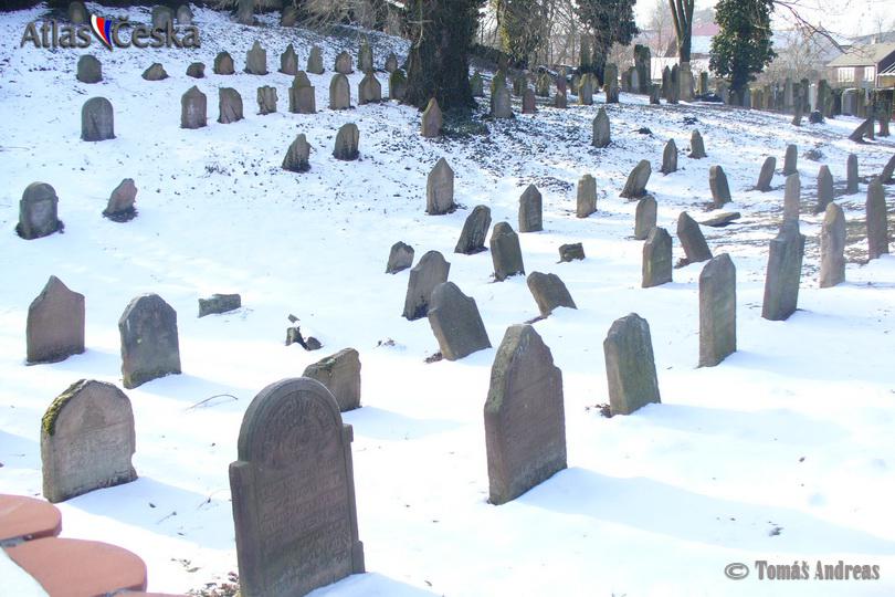 Židovský hřbitov Přistoupim