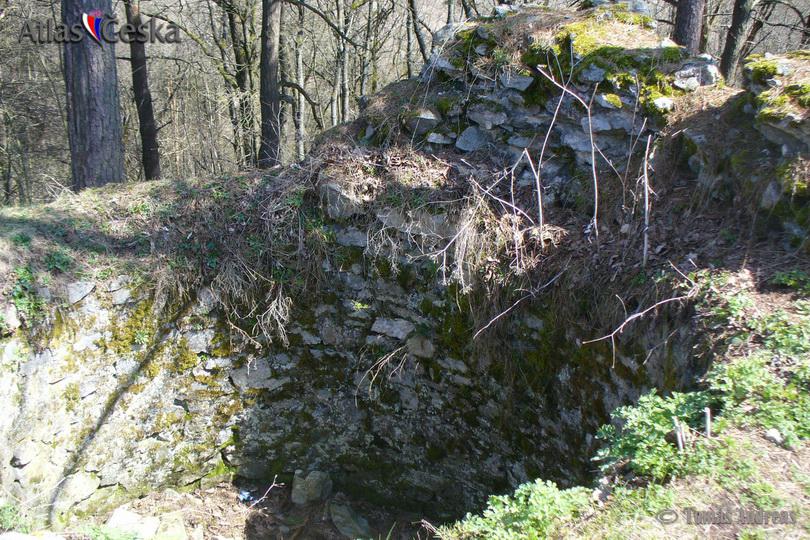 Zřícenina hradu Budětice (Džbán)
