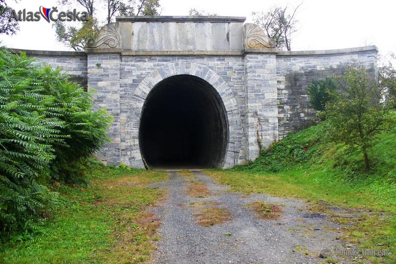 Tunel bývalé Ferdinandovy dráhy - Slavíč