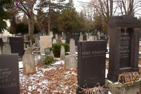 Brno Jewish Cemetery - 