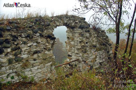 Zřícenina hradu Kamýk nad Vltavou - 