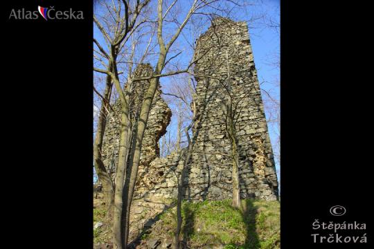 Zřícenina hradu Netřeb - 