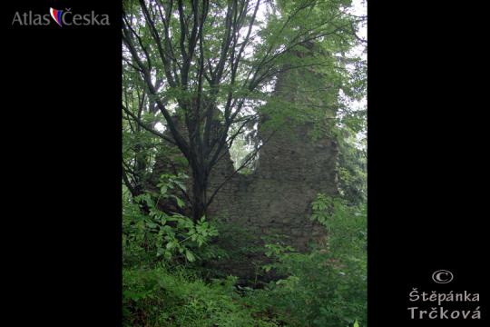 Zřícenina hradu Kynžvart - 