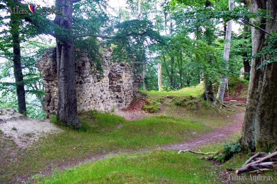 Zřícenina hradu Děvín - 