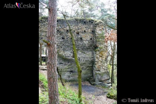 Zřícenina hradu Vítkovec - 