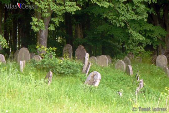Židovský hřbitov v Kolodějích nad Lužnicí - 