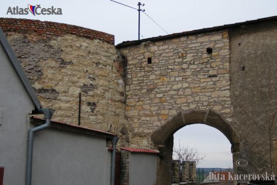 Zřícenina hradu Buštěhrad - 