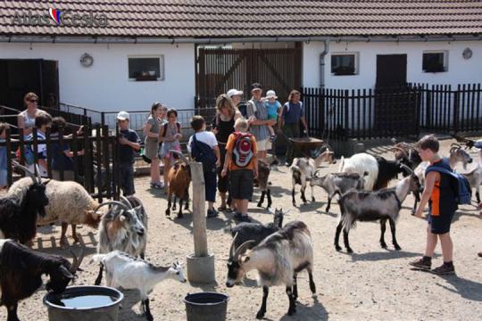 Zoopark Vyškov - 