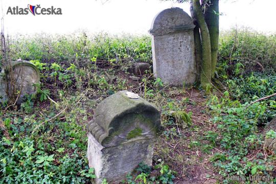 Židovský hřbitov u Bosyně - 