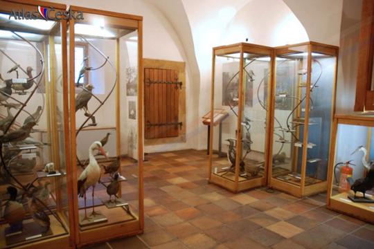 Městské muzeum v Čelákovicích - 