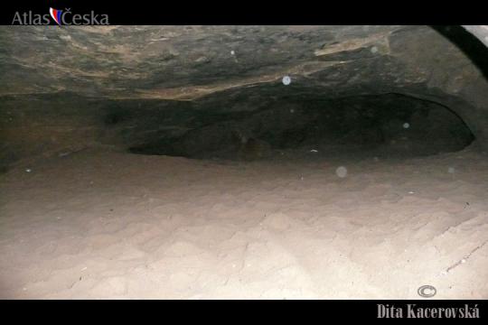 Jeskyně Postojna - Amerika - 