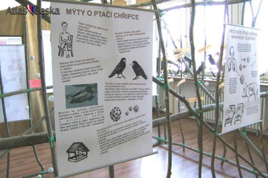 Ornitologická stanice - přírodovědné oddělení Muzea Komenského v Přerově - 