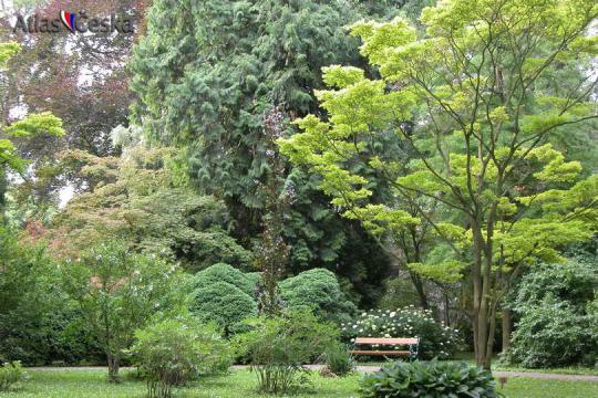Arboretum v Bílé Lhotě - 