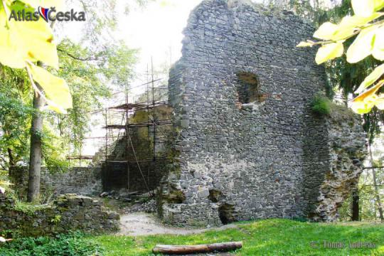 Zřícenina hradu Volfštejn - 