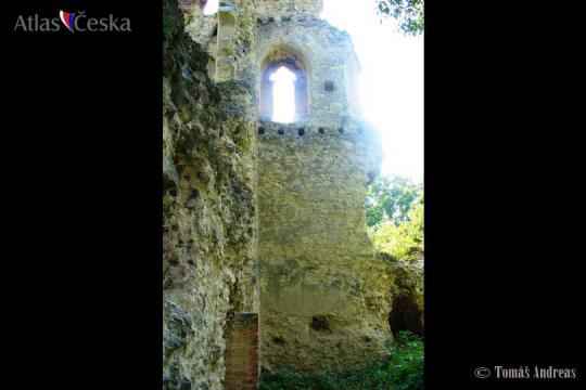 Zřícenina hradu Dražice - 