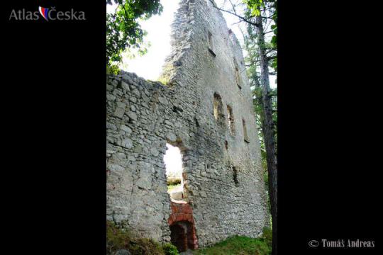 Zřícenina hradu Starý rybník - 