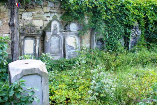 Židovský hřbitov Budyně nad Ohří - 