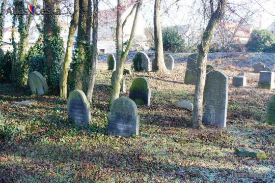 Židovský hřbitov Byšice - 