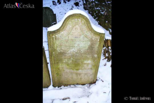 Židovský hřbitov Černovice u Tábora - 