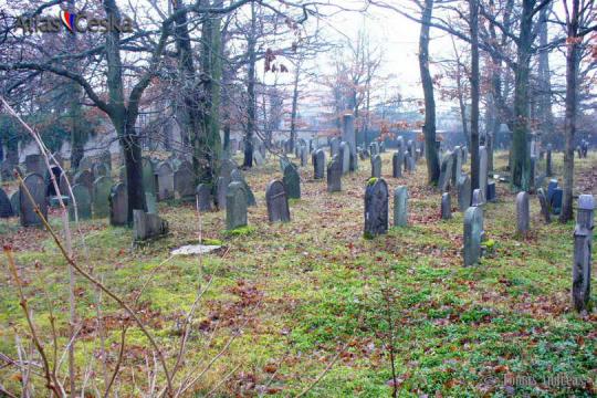 Židovský hřbitov Dobříš - 