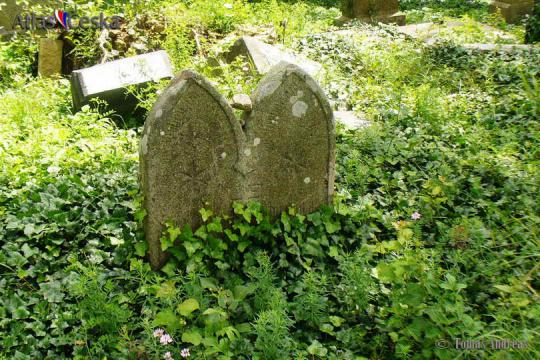 Židovský hřbitov Dolní Bolíkov - 