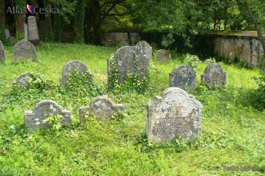 Židovský hřbitov Dolní Bolíkov - 