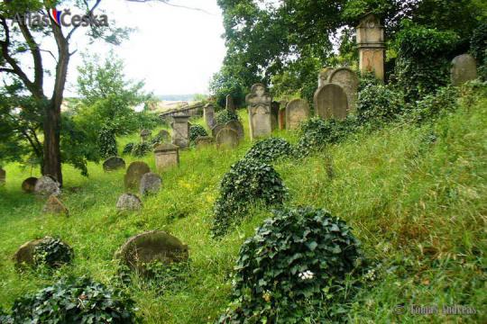 Židovský hřbitov Dolní Lukavice - 
