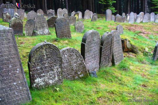 Židovský hřbitov - Drmoul - 