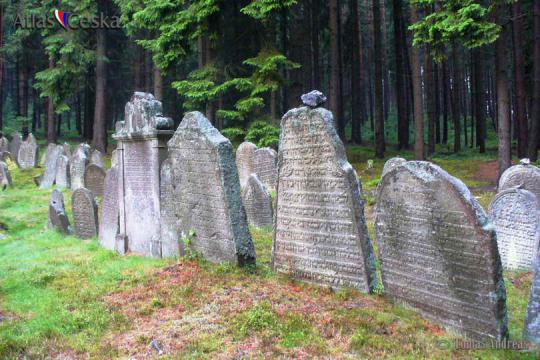 Židovský hřbitov - Drmoul - 