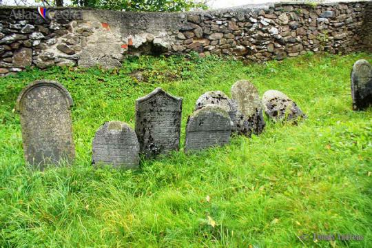 Židovský hřbitov Janovice nad Úhlavou - 