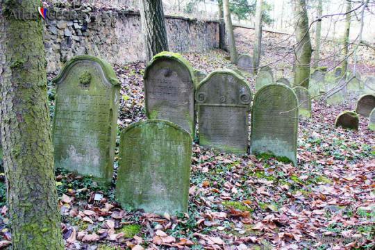 Židovský hřbitov Kožlany - 