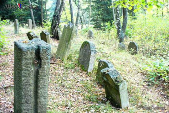 Židovský hřbitov - Krásná Lípa - 