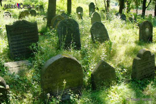 Židovský hřbitov Libochovice - 