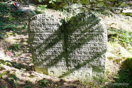 Židovský hřbitov Loučim - 