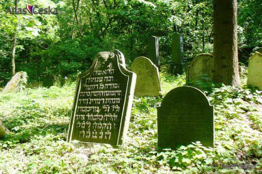 Luže Jewish Cemetery - 